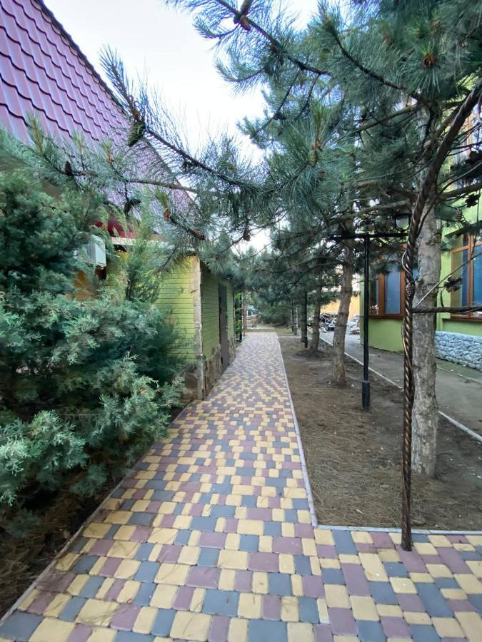 Villa Sosnovy Bor ซาโตกา ภายนอก รูปภาพ
