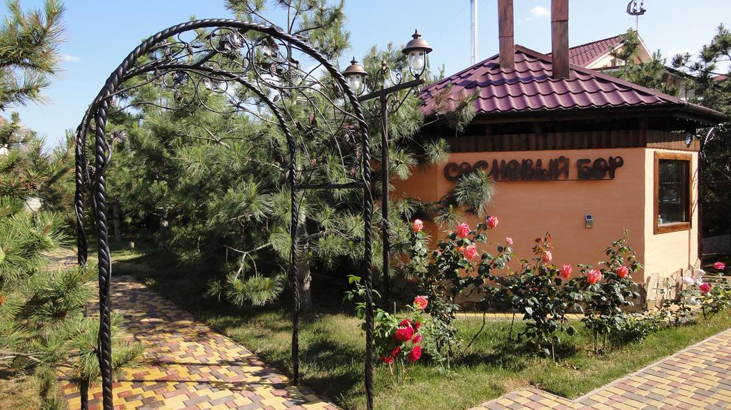 Villa Sosnovy Bor ซาโตกา ภายนอก รูปภาพ