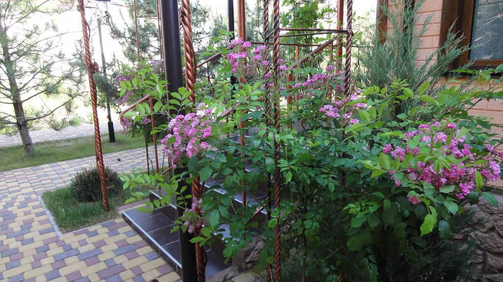 Villa Sosnovy Bor ซาโตกา ภายนอก รูปภาพ