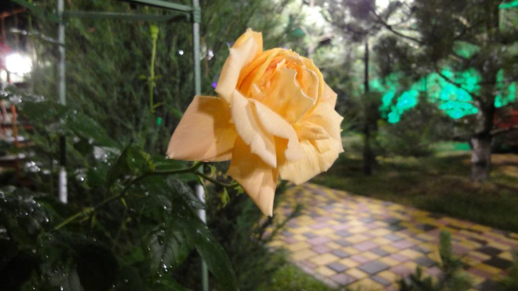 Villa Sosnovy Bor ซาโตกา ภายนอก รูปภาพ