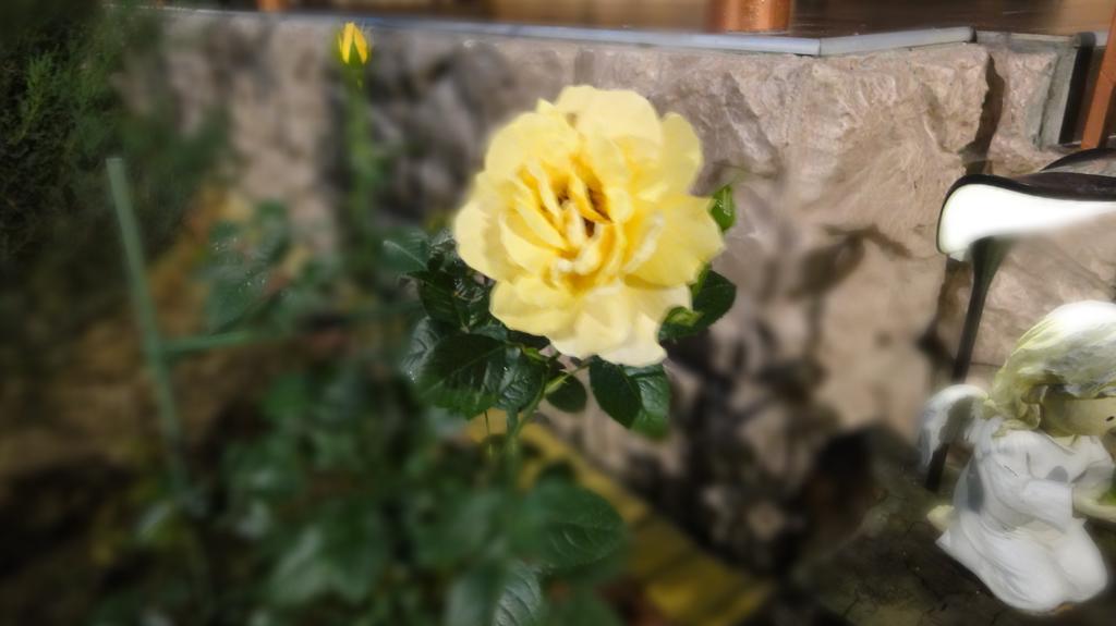 Villa Sosnovy Bor ซาโตกา ภายนอก รูปภาพ