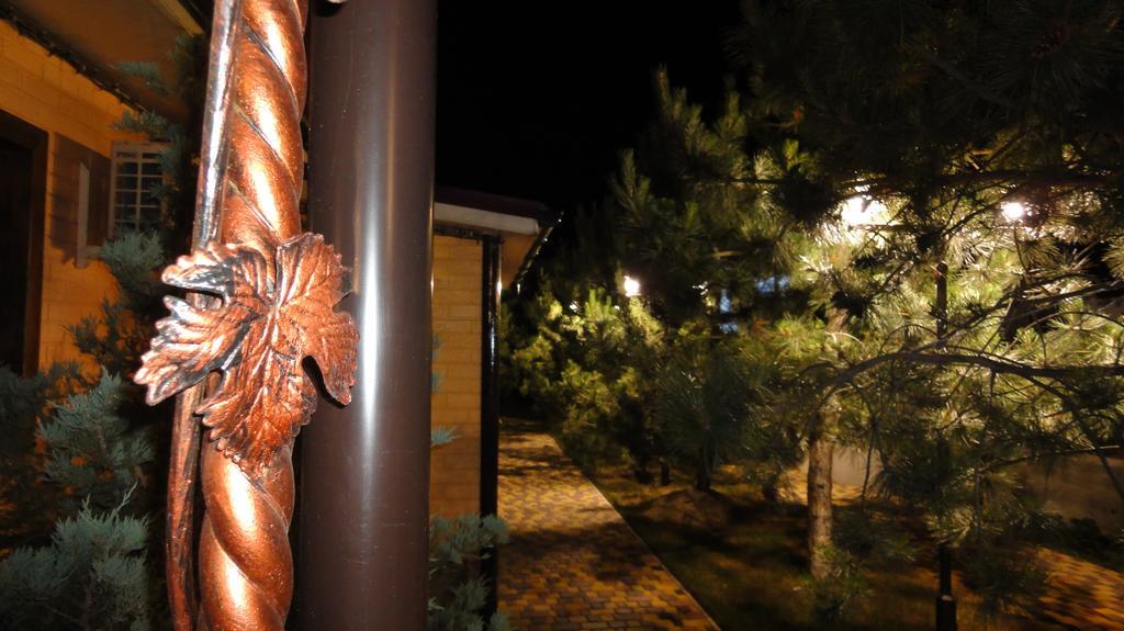 Villa Sosnovy Bor ซาโตกา ภายนอก รูปภาพ