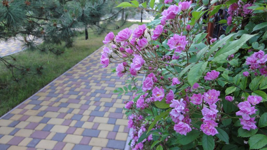 Villa Sosnovy Bor ซาโตกา ภายนอก รูปภาพ